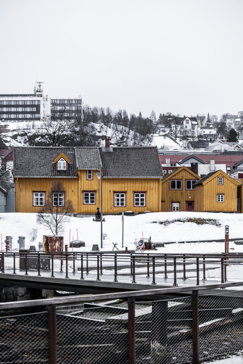 View of traditional yellow wooden houses surrounded by snow under an overcast sky in Tromso Troms Norway. View of traditional yellow wooden houses surrounded by snow under an overcast sky in Tromso Troms Norway.