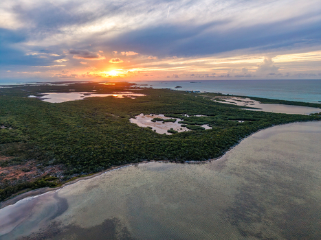 Aerial view of Salt Pond surrounded by lush green mangroves and coastal lagoons during a vibrant sunset over the horizon in Exuma Exuma The Bahamas.