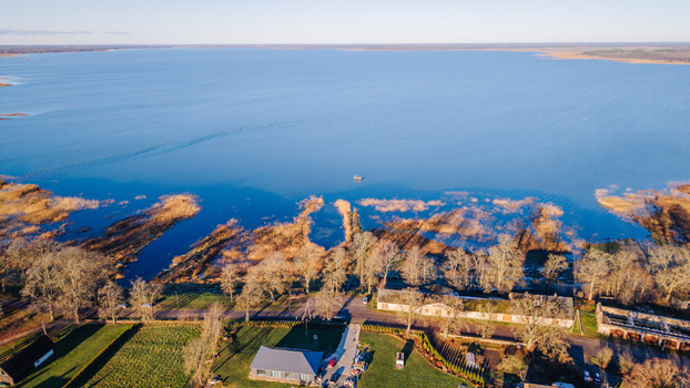 Aerial view of the serene Lake Burtnieks shoreline featuring golden reeds scattered trees and a residential house in the rural landscape of Burtnieki Valmiera Municipality Latvia.