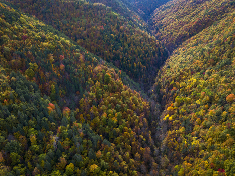 Aerial view of the Pyrenees mountains covered in a dense forest with vibrant autumn foliage displaying shades of orange yellow and green in Spain. Aerial view of the Pyrenees mountains covered in a dense forest with vibrant autumn foliage displaying shades of orange yellow and green in Spain.