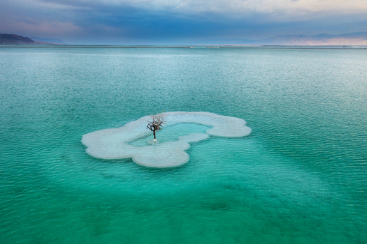 Aerial view of a lone tree on a salt formation island a stark contrast against the turquoise waters Ein Bokek South District Israel. Aerial view of a lone tree on a salt formation island a stark contrast against the turquoise waters Ein Bokek South District Israel.
