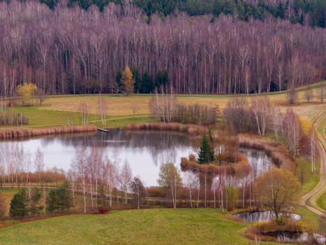 Aerial view of a small pond and autumn birch trees surrounded by dense forest in the rural countryside Lithuania. Aerial view of a small pond and autumn birch trees surrounded by dense forest in the rural countryside Lithuania.