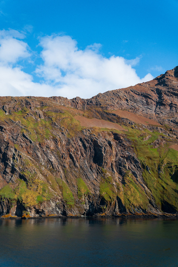 View of the rugged rocky cliffs and green slopes of Hercules Bay in South Georgia and the South Sandwich Islands. View of the rugged rocky cliffs and green slopes of Hercules Bay in South Georgia and the South Sandwich Islands.