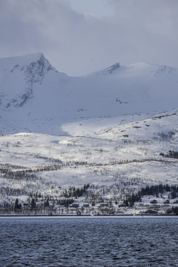 View of snow covered mountains and a small coastal village along the fjord under a cloudy sky Kvaloya Troms Norway. View of snow covered mountains and a small coastal village along the fjord under a cloudy sky Kvaloya Troms Norway.
