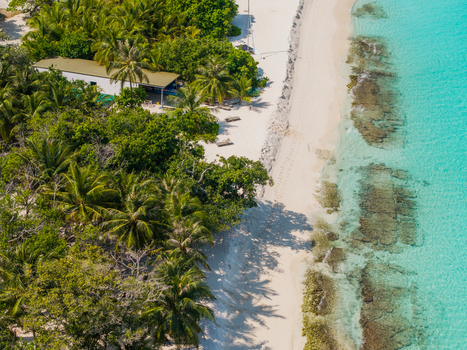 Aerial view of the island s edge where the lush green vegetation meets the white sandy beach and the crystal clear turquoise sea Vashafaru Island Maldives.
