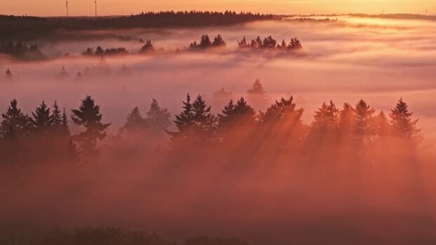 Aerial view of misty forest at sunrise near Venekotensee Germany.