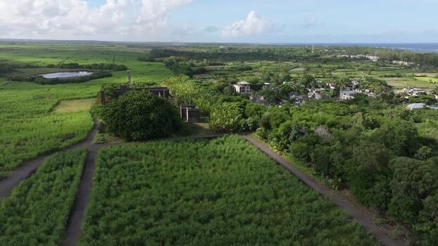 Aerial view of sugarcane fields near Belle Mare Beach Mauritius.