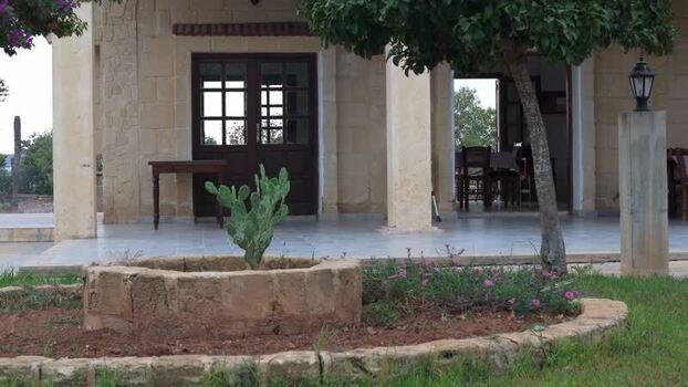 Aerial view of a patio with a cactus in Famagusta Northern Cyprus.