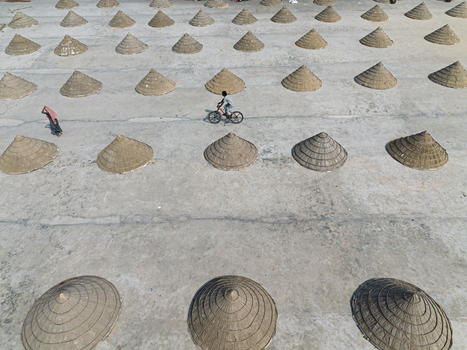 Brahmanbaria Bangladesh 25 January 2026 Aerial view of rows of conical straw covers on a concrete drying floor with a person riding a bicycle and a worker walking.
