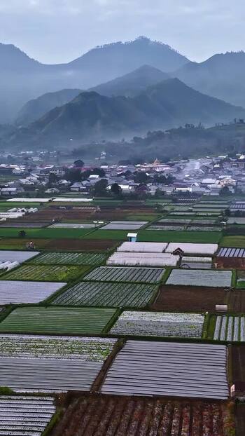 Aerial view of agricultural fields in the mountains Indonesia.