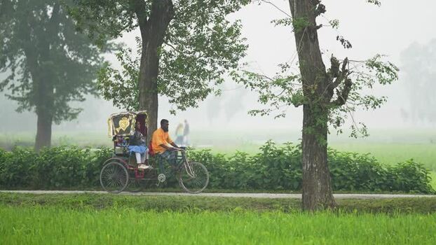 View of a cycle rickshaw on a foggy rural road Bangladesh.