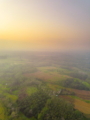 Aerial view of Kemumu terraced rice fields surrounded by lush tropical greenery under a soft golden hour sky in Arma Jaya Bengkulu Indonesia. Aerial view of Kemumu terraced rice fields surrounded by lush tropical greenery under a soft golden hour sky in Arma Jaya Bengkulu Indonesia.