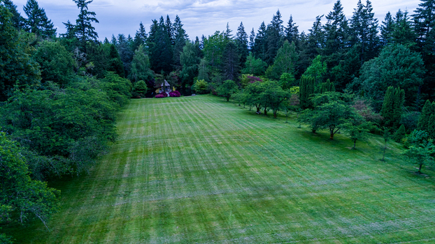 Aerial view of a vast manicured lawn with mowed stripes surrounded by a dense forest of evergreen trees and lush greenery in Portland Oregon United States. Aerial view of a vast manicured lawn with mowed stripes surrounded by a dense forest of evergreen trees and lush greenery in Portland Oregon United States.