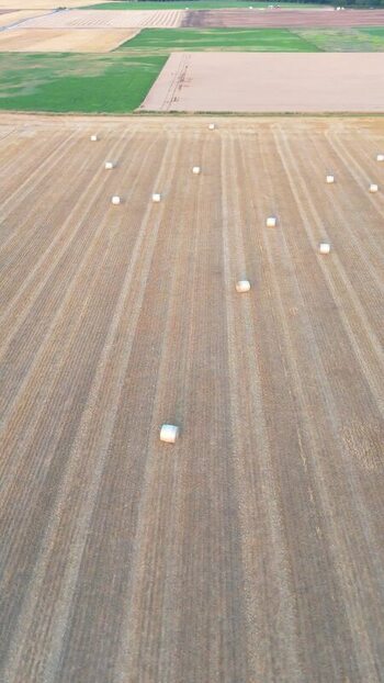 Aerial view of hay bales in a harvested field Switzerland.