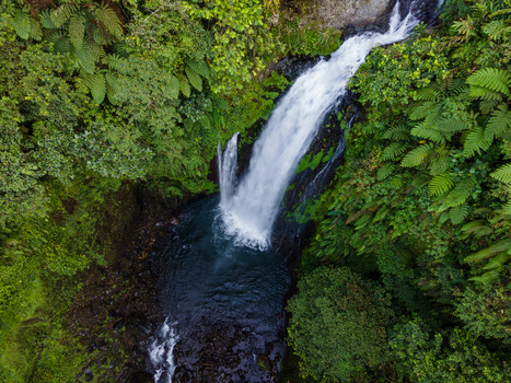 Aerial view of Gomblang Waterfall cascading into a dark pool surrounded by dense tropical ferns and lush green forest in Kecamatan Kedungbanteng Jawa Tengah Indonesia. Aerial view of Gomblang Waterfall cascading into a dark pool surrounded by dense tropical ferns and lush green forest in Kecamatan Kedungbanteng Jawa Tengah Indonesia.