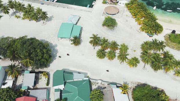 Aerial view of tropical village and palm trees in Maldives.
