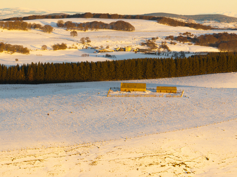 Aerial view of golden light kissing the snow covered fields and farmhouses of the Aubrac plateau with dark forest edges contrasting the bright landscape Nasbinals Occitanie France.