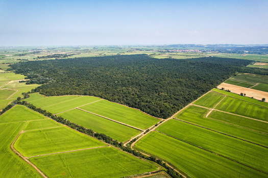 Aerial view of Parco Naturale del Bosco delle Sorti della Partecipanza surrounded by lush green agricultural fields and rice paddies in Trino Piemonte Italy.