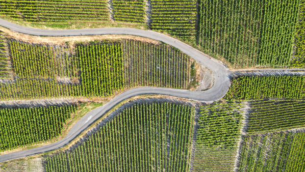 Aerial view of lush green vineyards with a winding asphalt road and geometric vine rows under bright sunlight Leytron Valais Switzerland. Aerial view of lush green vineyards with a winding asphalt road and geometric vine rows under bright sunlight Leytron Valais Switzerland.