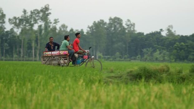 View of men on a motorized van in a rice field Bangladesh. View of men on a motorized van in a rice field Bangladesh.
