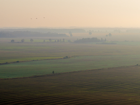 Aerial view of agricultural fields and misty landscape with birds flying in the soft morning light Taujenai Vilnius County Lithuania.