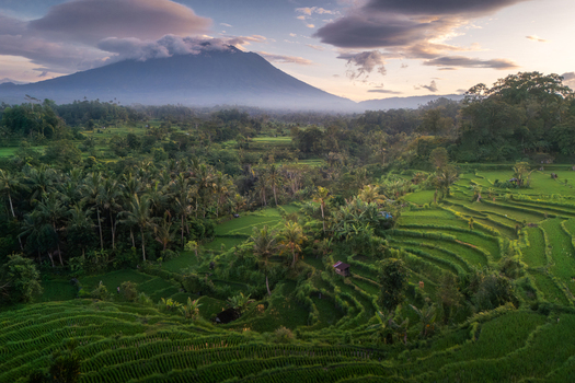Aerial view of the lush green rice terraces and palm forests of Sidemen with Mount Agung in the background under a cloudy sky Sidemen Bali Indonesia. Aerial view of the lush green rice terraces and palm forests of Sidemen with Mount Agung in the background under a cloudy sky Sidemen Bali Indonesia.