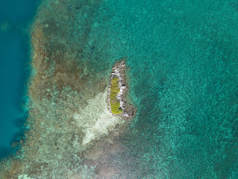 Aerial view of a small island with lush green vegetation surrounded by turquoise waters and coral reefs at Camar Rock Island Jepara Regency Central Java Indonesia.