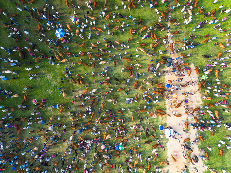 Akkelpur Upazila Bangladesh 20 May 2026 Aerial view of a crowded cattle market on a green field with people livestock and colorful umbrellas.
