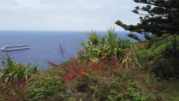 View of a cruise ship near Adamstown Pitcairn Islands.