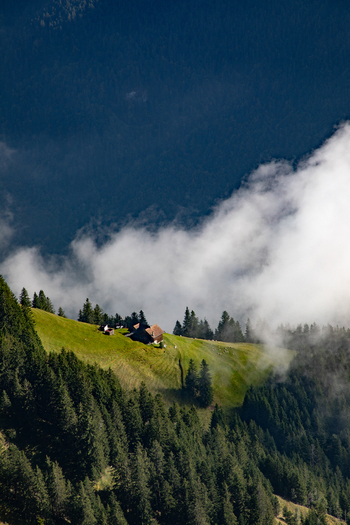 View of a small wooden cabin nestled on a lush green mountain slope surrounded by dense pine forests and drifting clouds in the Swiss Alps Airolo Ticino Switzerland. View of a small wooden cabin nestled on a lush green mountain slope surrounded by dense pine forests and drifting clouds in the Swiss Alps Airolo Ticino Switzerland.