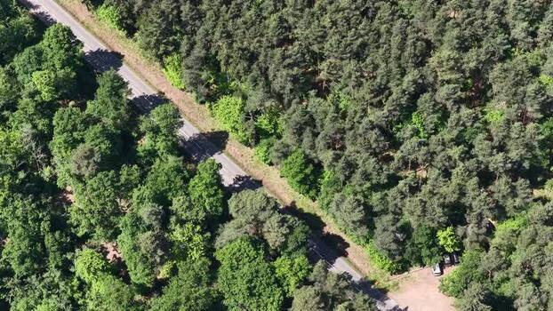 Aerial view of a road through a dense forest France.