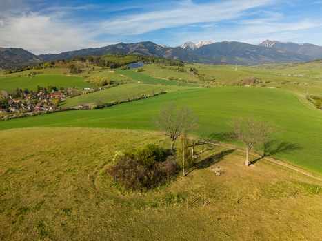 Aerial view of a small grove of trees on a grassy hill overlooking a village and the snow capped Tatra Mountains under a blue sky in Liptovsky Trnovec Zilina Region Slovakia.