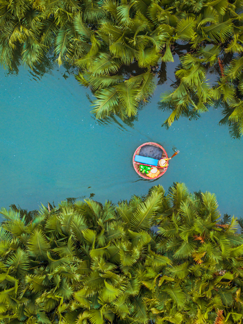 Aerial view of a traditional round basket boat with a fisherman paddling through a narrow river channel surrounded by lush green palm trees in Vietnam. Aerial view of a traditional round basket boat with a fisherman paddling through a narrow river channel surrounded by lush green palm trees in Vietnam.