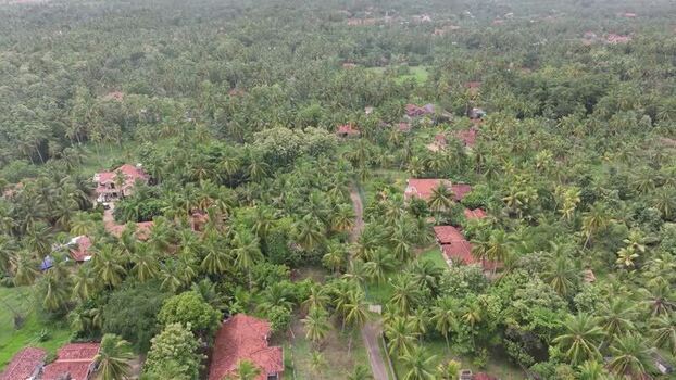 Aerial view of houses nestled in palm trees Sri Lanka.