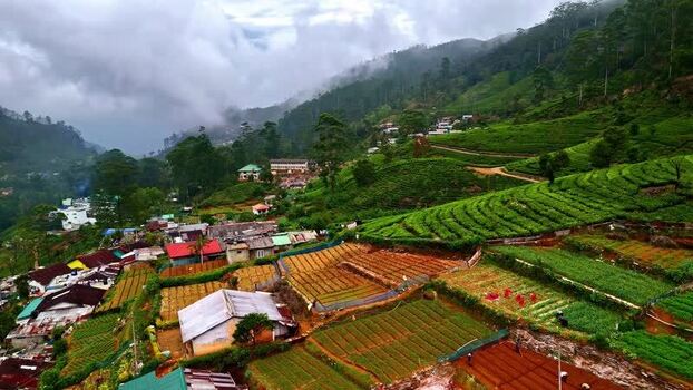 Aerial view of tea plantations and village in Sri Lanka.