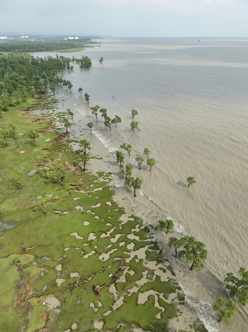 Aerial view of the coastal landscape in Sitakund with trees partially submerged in the water green marshy terrain and muddy shoreline in Sitakund Chittagong Division Bangladesh. Aerial view of the coastal landscape in Sitakund with trees partially submerged in the water green marshy terrain and muddy shoreline in Sitakund Chittagong Division Bangladesh.