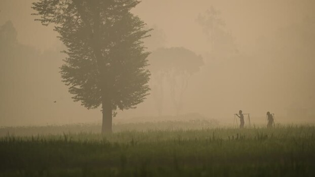 View of farmers walking through a misty field in Bogura Bangladesh. View of farmers walking through a misty field in Bogura Bangladesh.