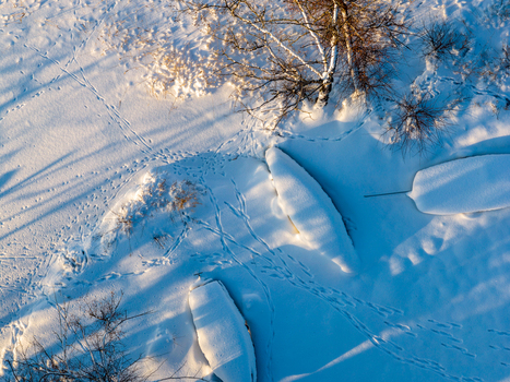 Aerial view of snow covered boats on a frozen shore with footprints and long shadows from bare trees in Trakai Vilnius County Lithuania. Aerial view of snow covered boats on a frozen shore with footprints and long shadows from bare trees in Trakai Vilnius County Lithuania.