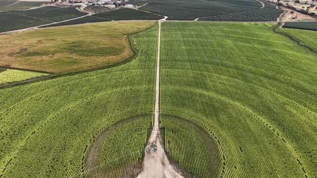 Aerial view of circular agricultural fields in Talayuela Spain. Aerial view of circular agricultural fields in Talayuela Spain.