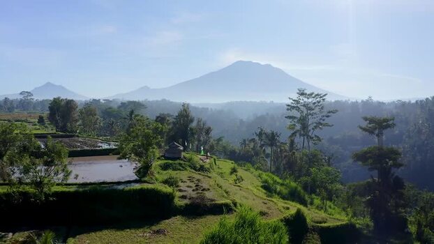 Aerial view of lush rice terraces and a misty volcano in Indonesia.