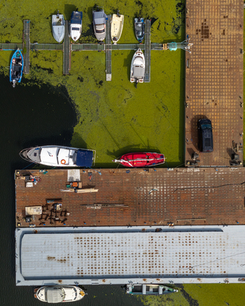 Aerial view of various boats moored at a metal dock surrounded by vibrant green algae on the water in Plock Mazovian Voivodeship Poland.