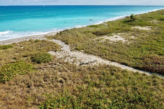 Aerial view of the vibrant turquoise ocean meeting the sandy shore and lush green dunes Jupiter Island Florida United States.