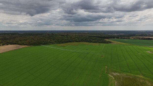 Aerial view of green agricultural fields and forest Portugal.