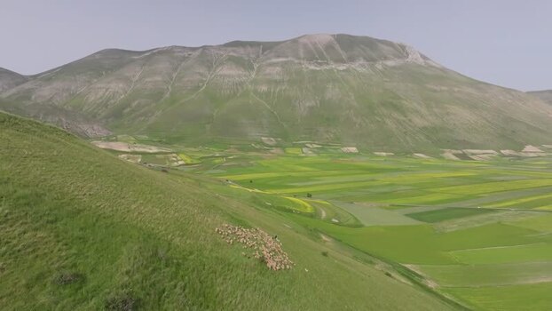 Aerial view of sheep grazing on a hillside in Italy.