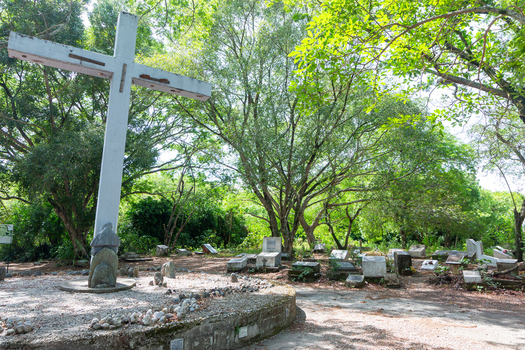 View of the ruins of Armero featuring a large tree with hanging roots weathered stone walls and blue memorial crosses in the foreground in Armero Tolima Colombia.