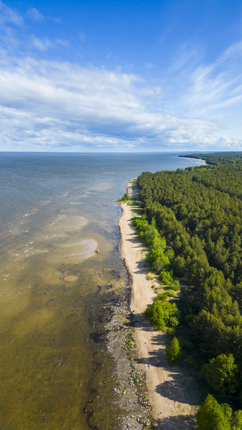Aerial view of the Estonian coastline where the Baltic Sea kisses the sandy shore framed by the verdant embrace of dense forest Pärnu Pärnu County Estonia. Aerial view of the Estonian coastline where the Baltic Sea kisses the sandy shore framed by the verdant embrace of dense forest Pärnu Pärnu County Estonia.