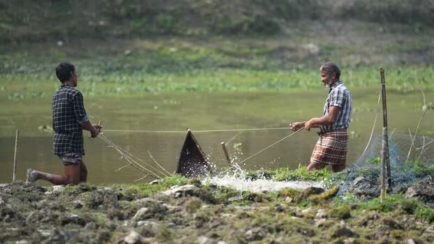 View of fishermen using a traditional net in Bogura Bangladesh. View of fishermen using a traditional net in Bogura Bangladesh.