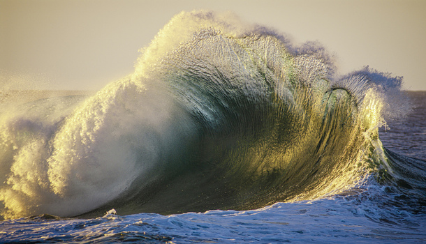 View of a powerful ocean wave breaking at sunset with golden light illuminating the translucent water and spray on the North Shore in Haleiwa Hawaii United States.