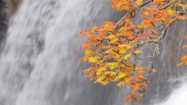 View of Rjukandefoss waterfall with autumn foliage Norway.