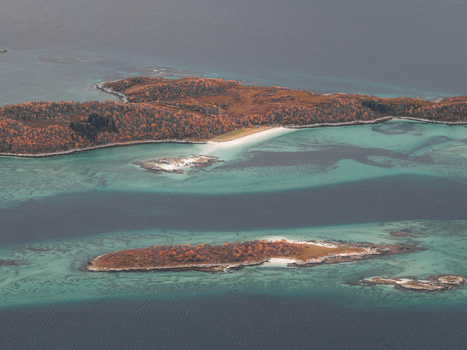 Aerial view of the Senja islands in Norway featuring vibrant autumn foliage on the rocky terrain surrounded by clear turquoise waters in Senja Troms Norway.